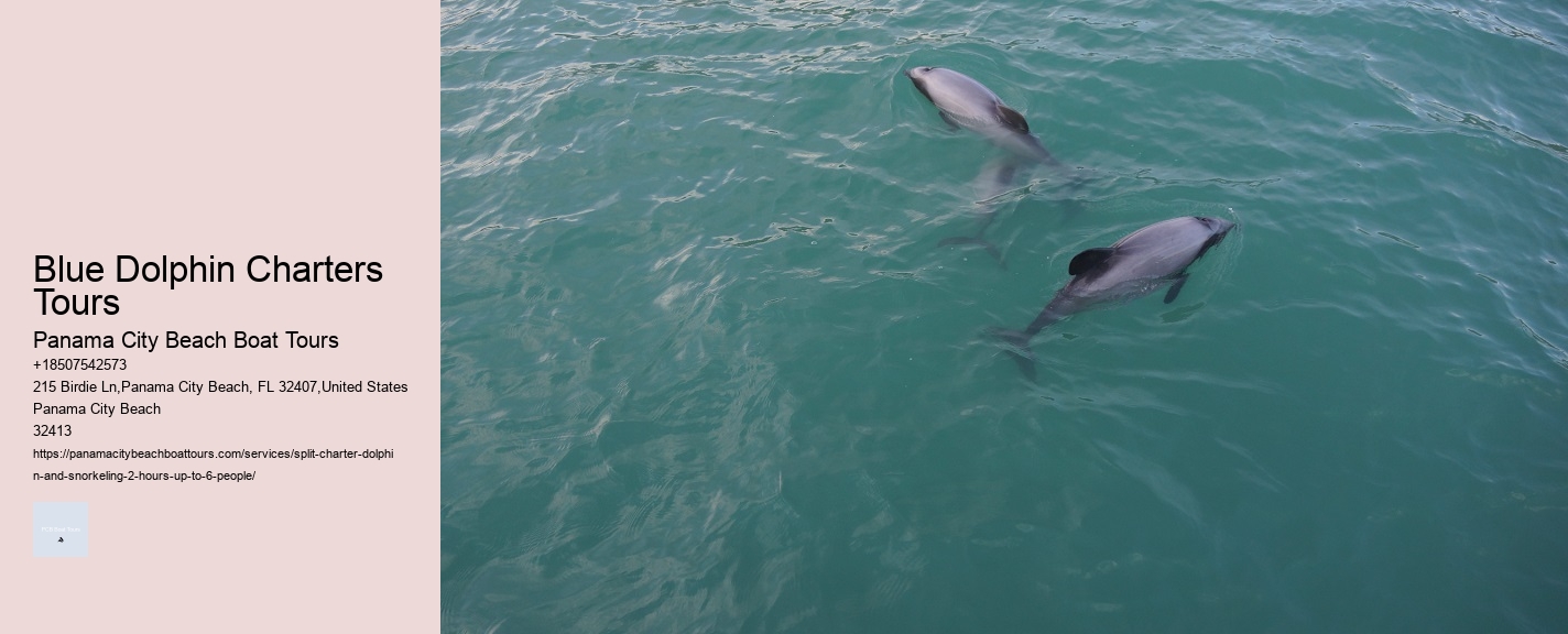Blue Dolphin Charters Tours Panama City Beach Boat Tours Blue Dolphin Charters Tours
