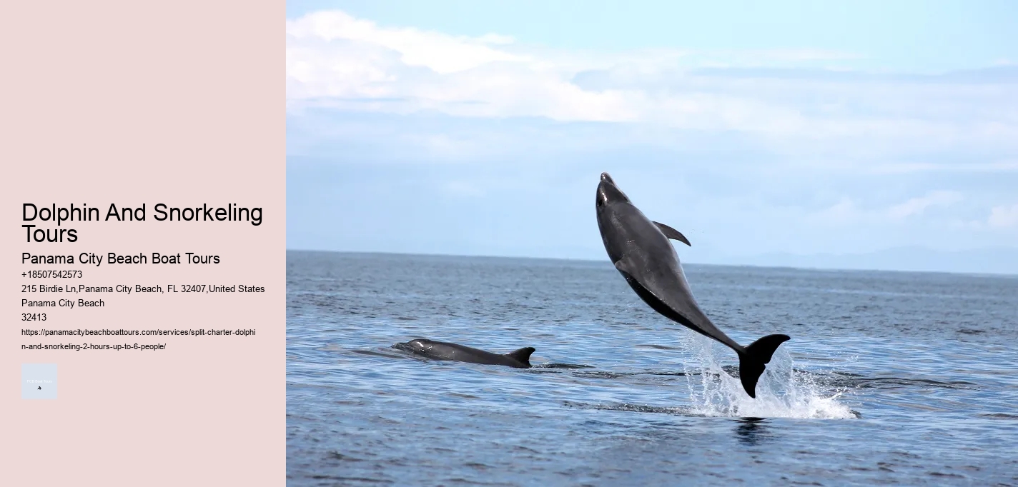 Dolphin And Snorkeling Tours Panama City Beach Boat Tours Dolphin And Snorkeling Tours