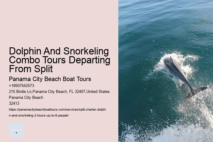 How Long Does It Take To Swim With Dolphins