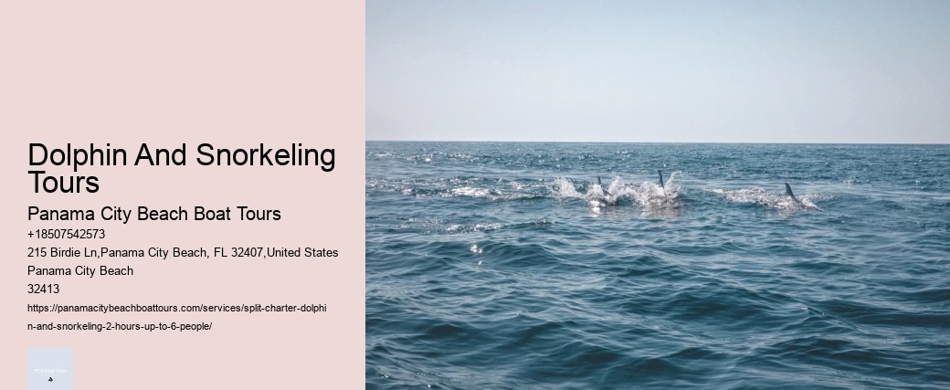 Why Do Sharks Avoid Dolphins