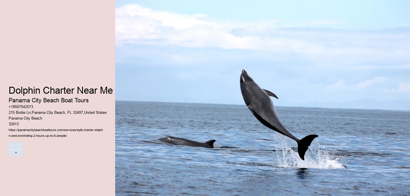Dolphin Charter Near Me Panama City Beach Boat Tours Dolphin Charter Near Me