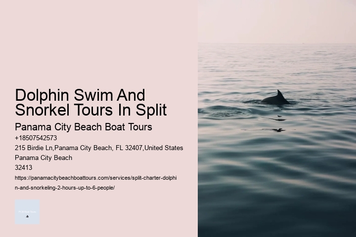 Dolphin Swim And Snorkel Tours In Split Panama City Beach Boat Tours Dolphin Swim And Snorkel Tours In Split