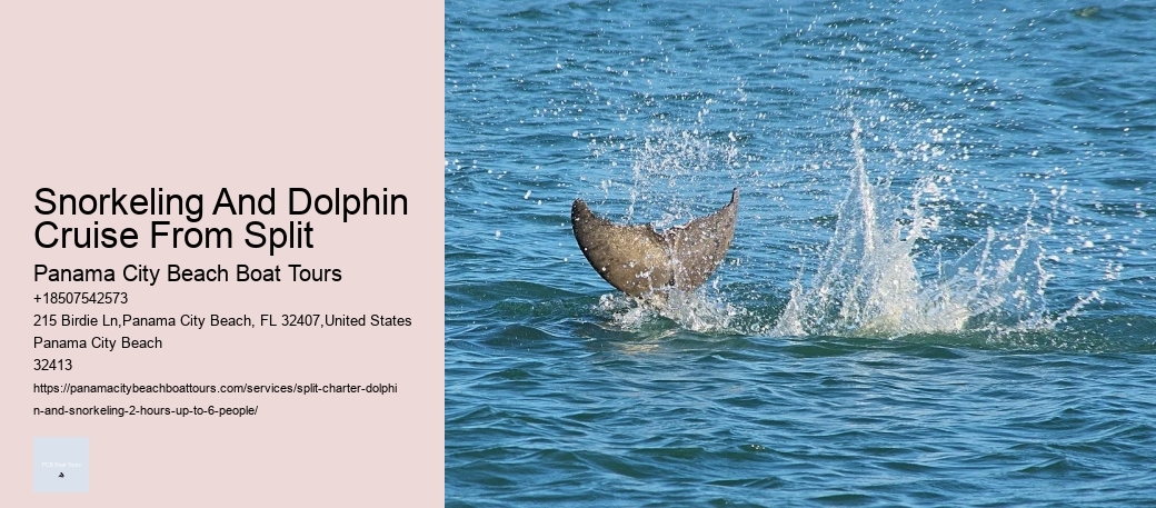 Snorkeling And Dolphin Cruise From Split Panama City Beach Boat Tours Snorkeling And Dolphin Cruise From Split