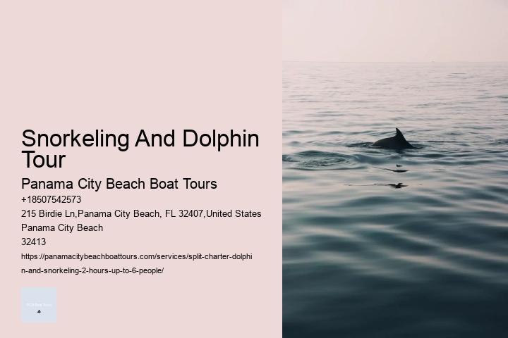 Snorkeling And Dolphin Tour Panama City Beach Boat Tours Snorkeling And Dolphin Tour