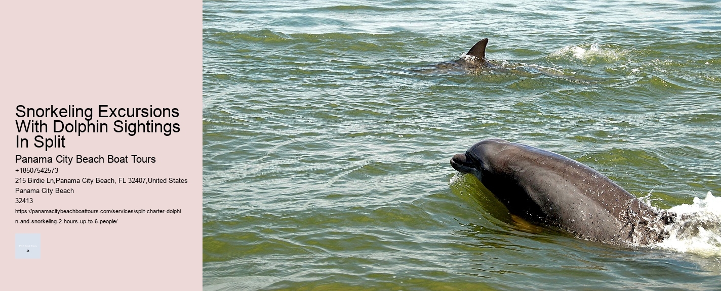 Split Off-the-grid Dolphin And Snorkeling Excursions