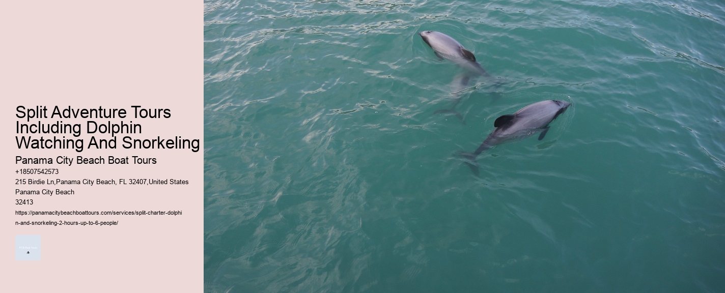 Split Adventure Tours Including Dolphin Watching And Snorkeling Panama City Beach Boat Tours Split Adventure Tours Including Dolphin Watching And Snorkeling