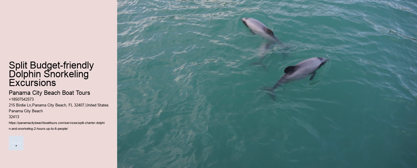 Split Budget-friendly Dolphin Snorkeling Excursions Panama City Beach Boat Tours Split Budget-friendly Dolphin Snorkeling Excursions