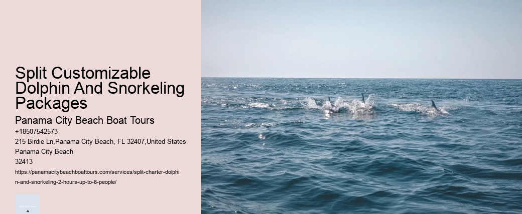 Split Customizable Dolphin And Snorkeling Packages