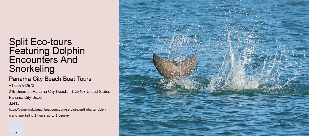 Split Eco-tours Featuring Dolphin Encounters And Snorkeling Panama City Beach Boat Tours Split Eco-tours Featuring Dolphin Encounters And Snorkeling