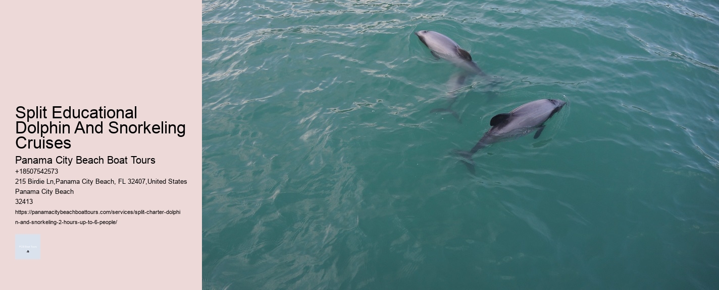 What Time Of Day Are Dolphins Most Active