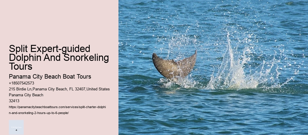 Split Expert-guided Dolphin And Snorkeling Tours Panama City Beach Boat Tours Split Expert-guided Dolphin And Snorkeling Tours