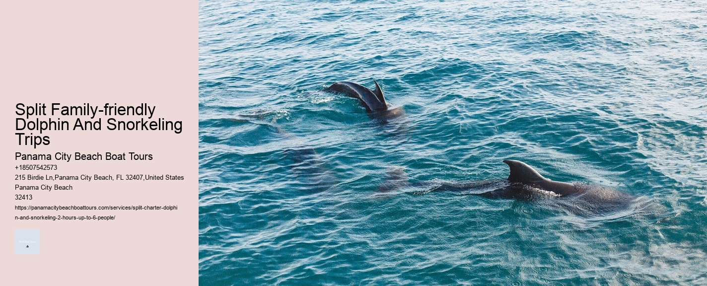 3 Dolphins Anguilla