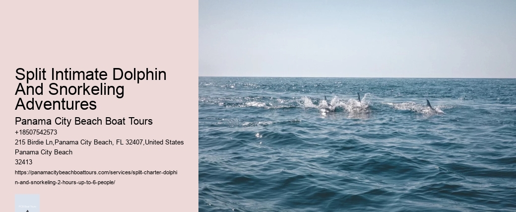 Split Intimate Dolphin And Snorkeling Adventures Panama City Beach Boat Tours Split Intimate Dolphin And Snorkeling Adventures