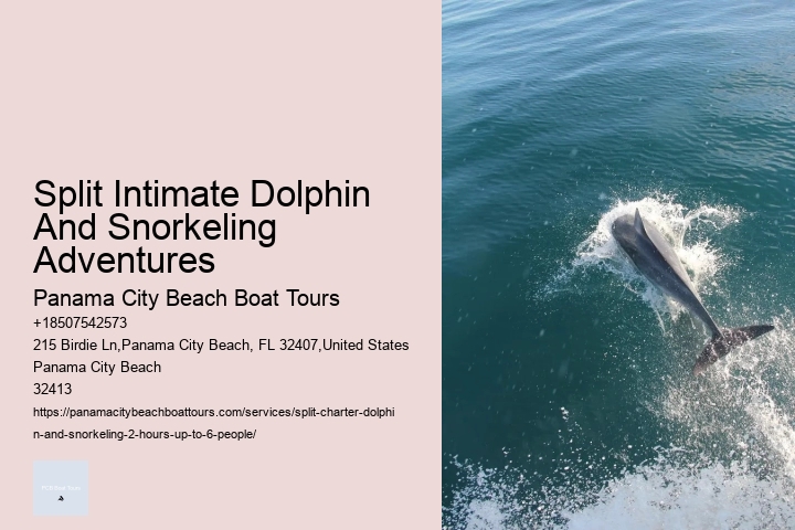 Split Boat Tours With Dolphin Watching