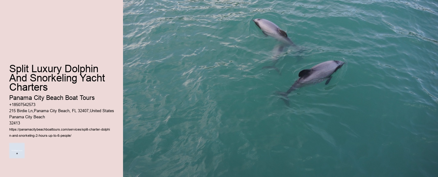 Split Luxury Dolphin And Snorkeling Yacht Charters Panama City Beach Boat Tours Split Luxury Dolphin And Snorkeling Yacht Charters