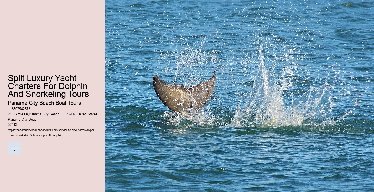 National Aquarium Dolphins Will Leave Baltimore For Seaside Sanctuary