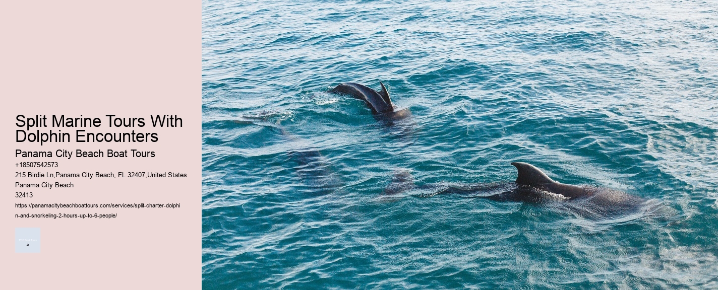 Are Dolphin Tours Safe For Dolphins