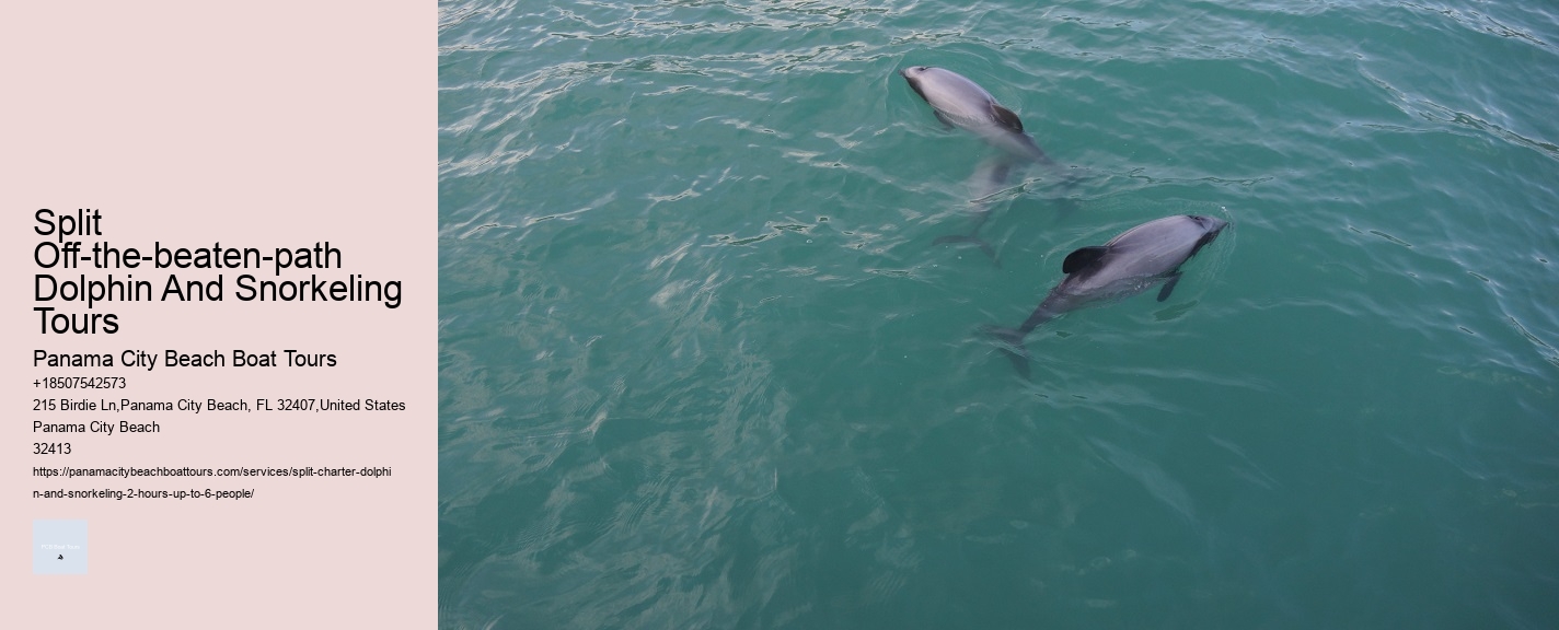Split Off-the-beaten-path Dolphin And Snorkeling Tours Panama City Beach Boat Tours Split Off-the-beaten-path Dolphin And Snorkeling Tours