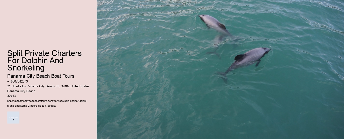 Split Private Charters For Dolphin And Snorkeling Panama City Beach Boat Tours Split Private Charters For Dolphin And Snorkeling