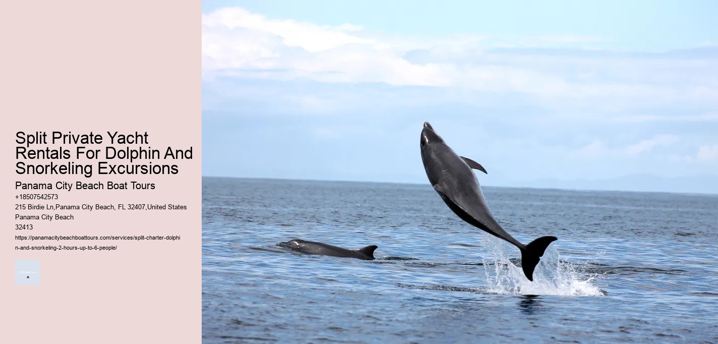Split Private Yacht Rentals For Dolphin And Snorkeling Excursions Panama City Beach Boat Tours Split Private Yacht Rentals For Dolphin And Snorkeling Excursions