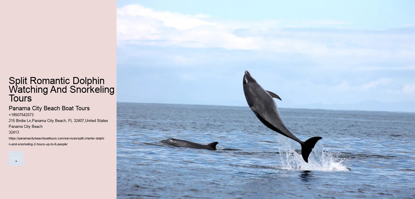 Split Romantic Dolphin Watching And Snorkeling Tours Panama City Beach Boat Tours Split Romantic Dolphin Watching And Snorkeling Tours