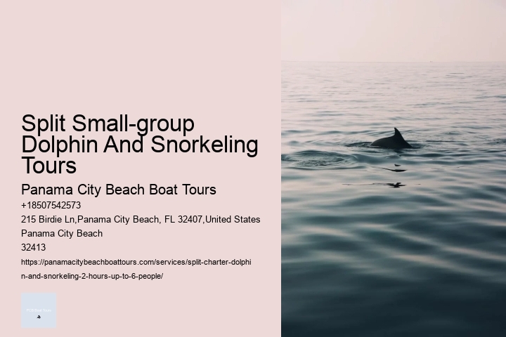 Split Small-group Dolphin And Snorkeling Tours Panama City Beach Boat Tours Split Small-group Dolphin And Snorkeling Tours