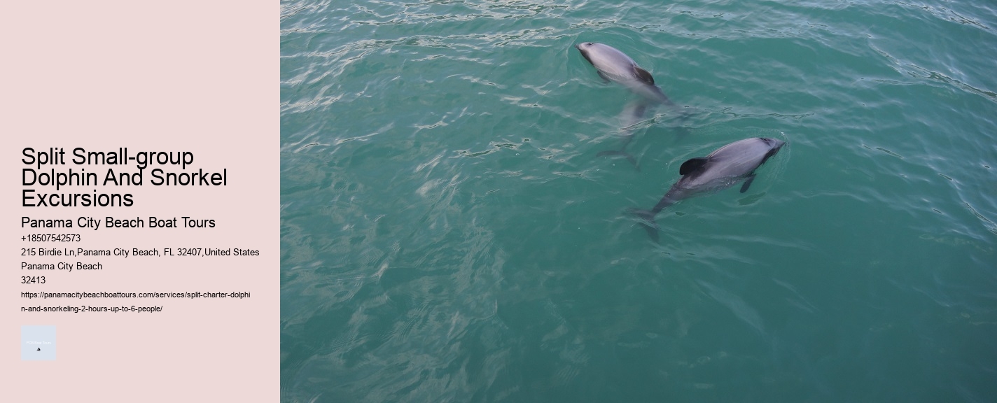 Dolphin Snorkeling Adventures Departing From Split