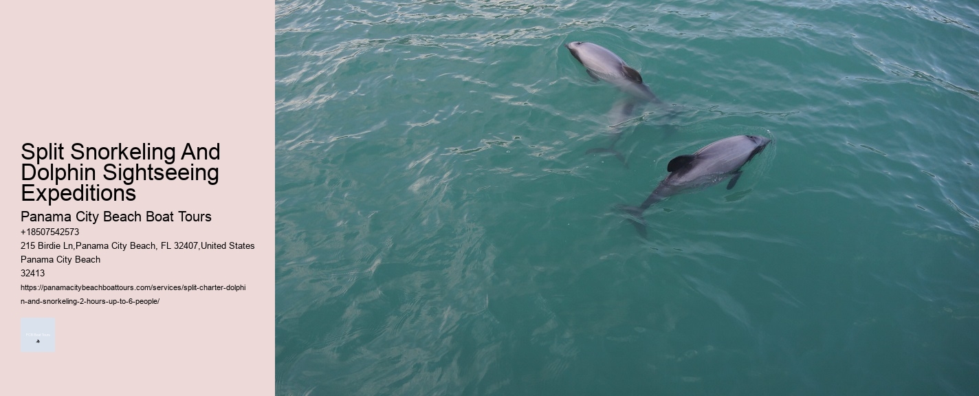 Split Snorkeling And Dolphin Sightseeing Expeditions Panama City Beach Boat Tours Split Snorkeling And Dolphin Sightseeing Expeditions