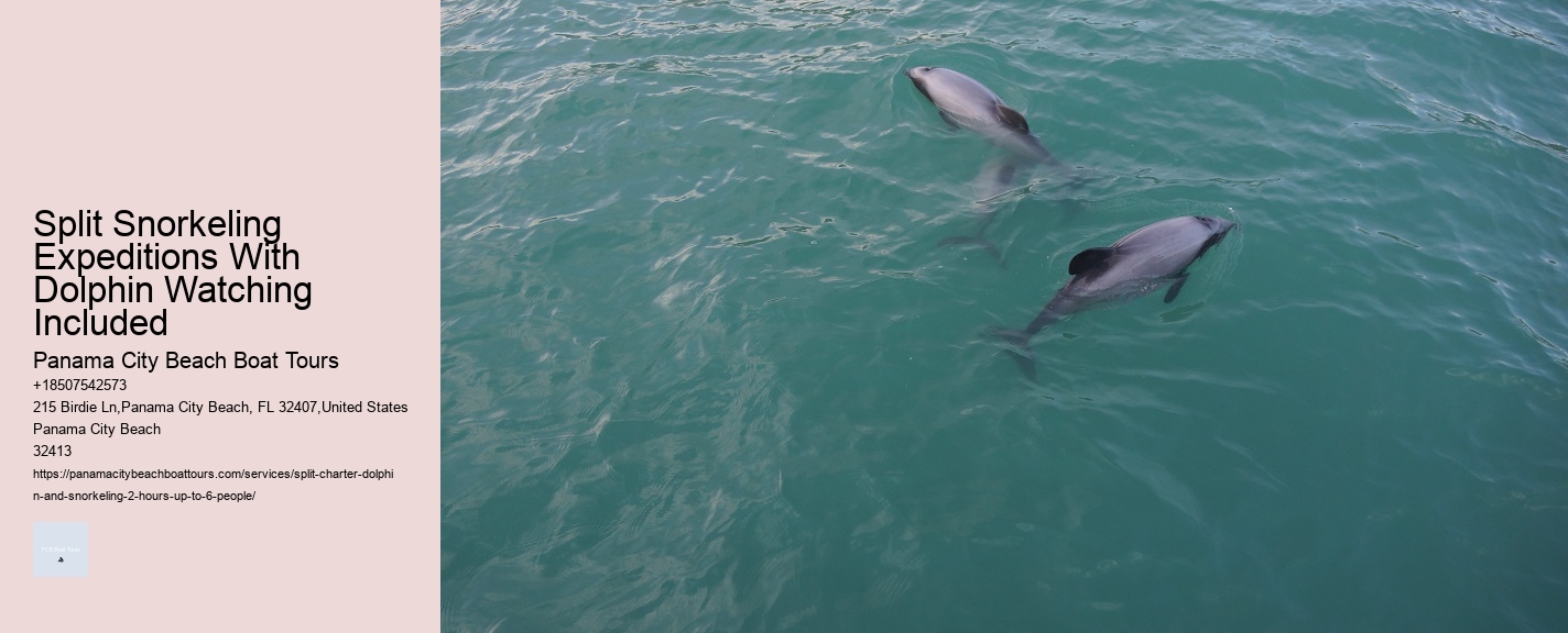 Split Snorkeling Expeditions With Dolphin Watching Included Panama City Beach Boat Tours Split Snorkeling Expeditions With Dolphin Watching Included