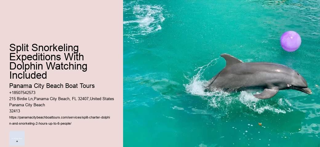 Dolphin Swim And Snorkel Tours In Split