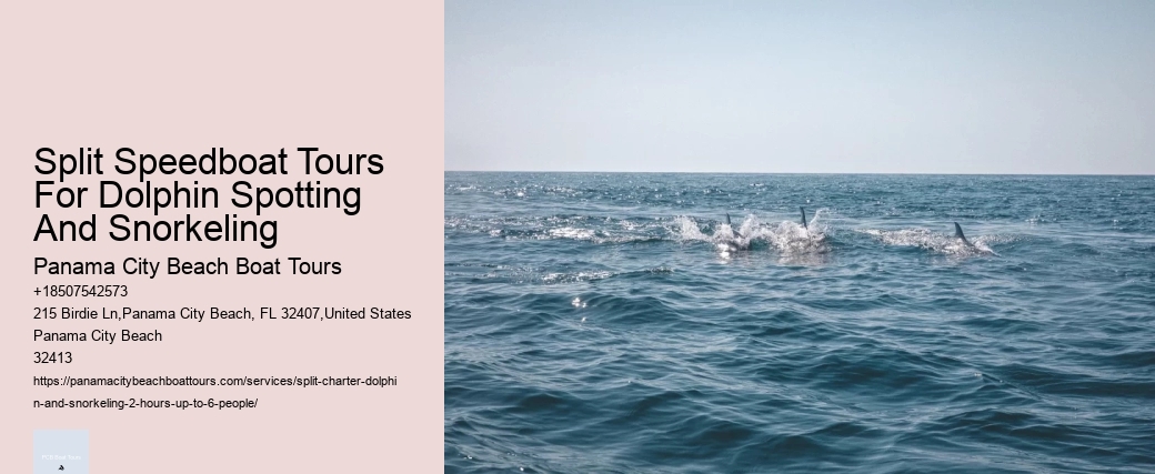 Will Dolphins Let You Touch Them