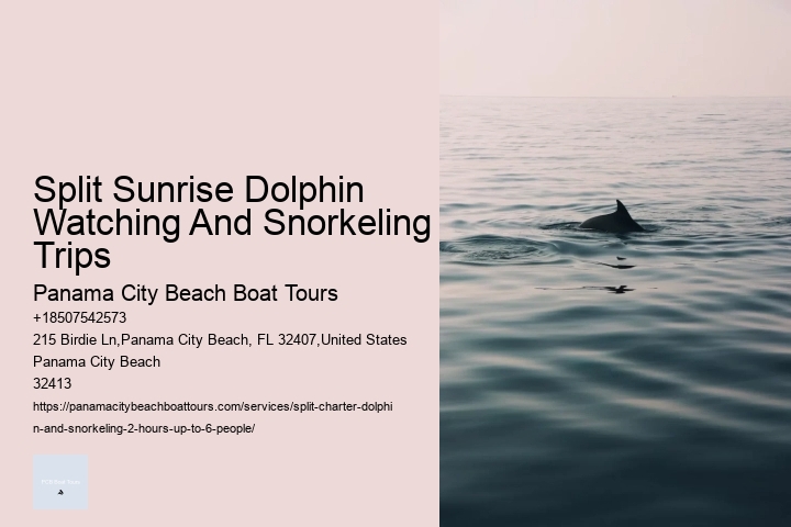 Swimming With Captive Dolphins