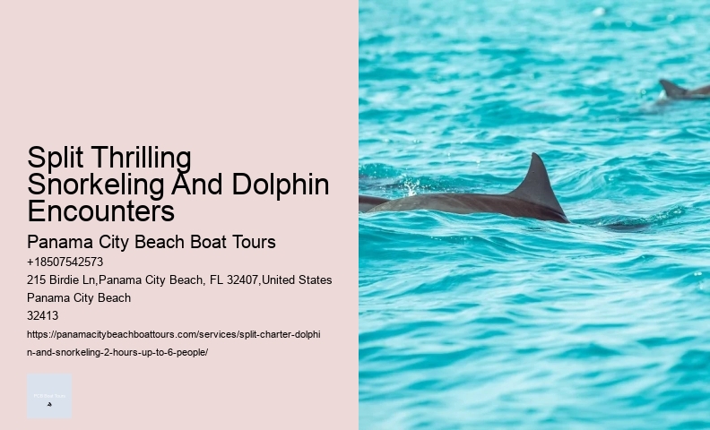 Jet Ski Dolphin Tours Near Me