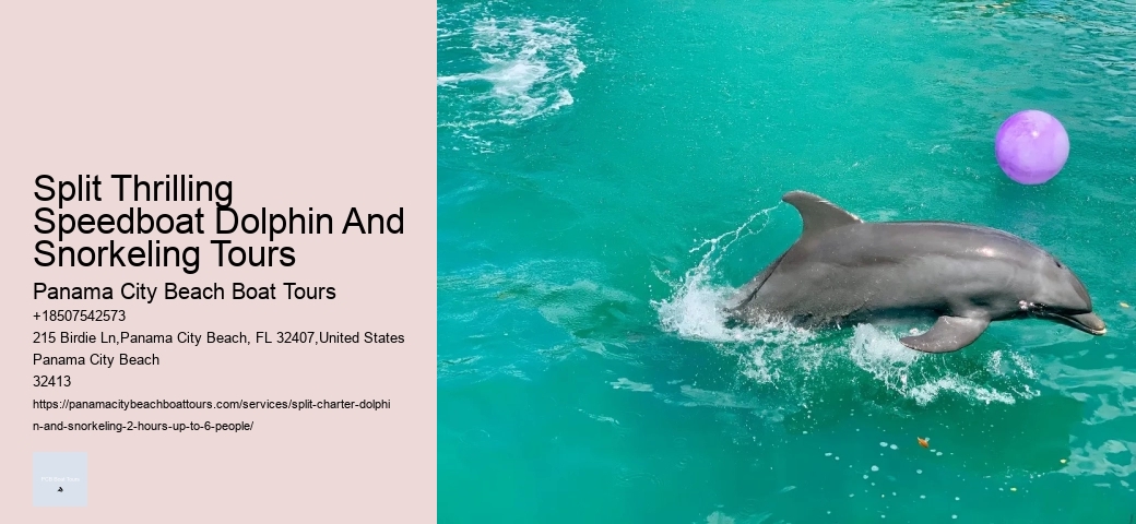 What Is The Sad Truth About Dolphins