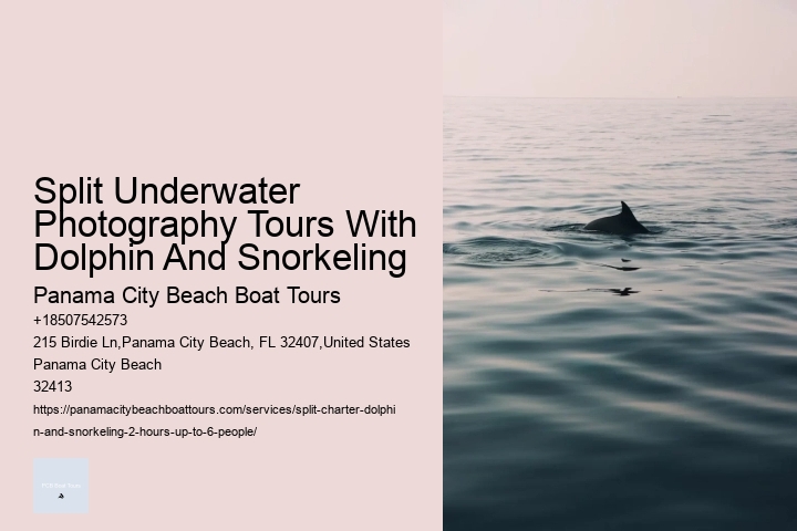 Split Underwater Photography Tours With Dolphin And Snorkeling Panama City Beach Boat Tours Split Underwater Photography Tours With Dolphin And Snorkeling