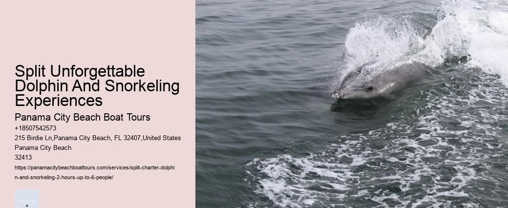 Do Dolphins Swim Close To Cruise Ships